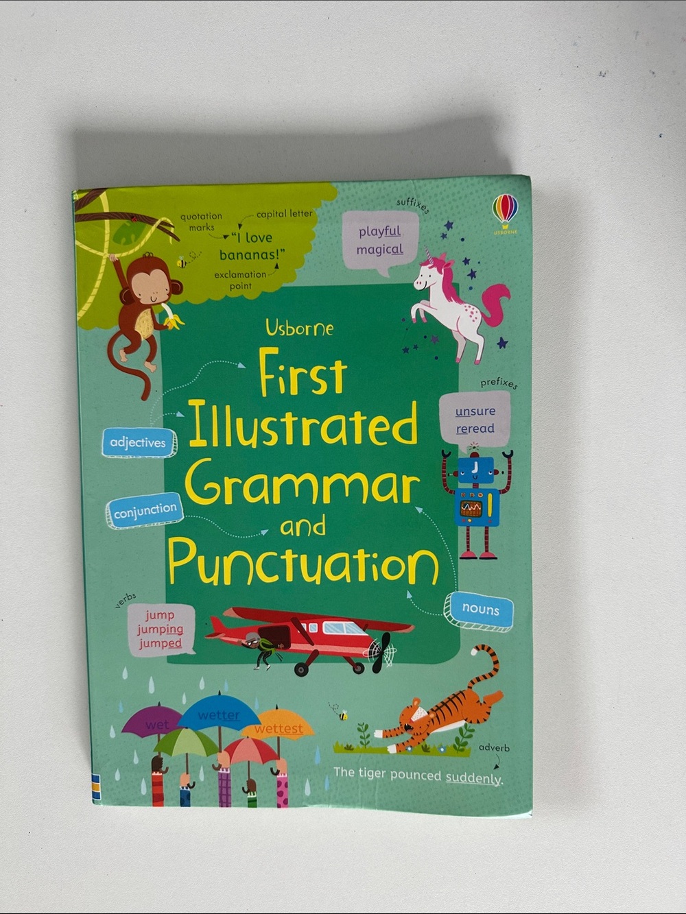 UsBorne First Illustrated Grammar and Punctuation - Teal with Yellow Accents